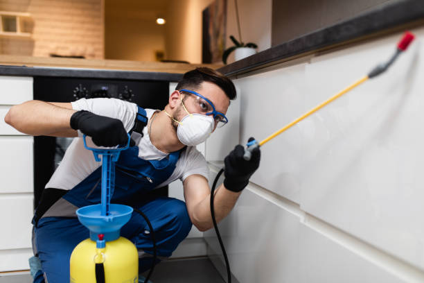 Best Mosquito Control Services  in Lake Odessa, MI