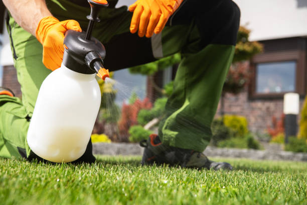 Best Rat Extermination Near Me  in Lake Odessa, MI