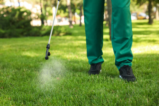 Best Affordable Pest Control Services  in Lake Odessa, MI