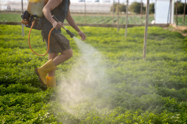 Best Affordable Pest Control Services  in Lake Odessa, MI