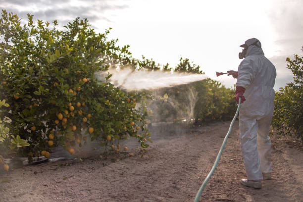 Pest Control for Restaurants in Lake Odessa, MI