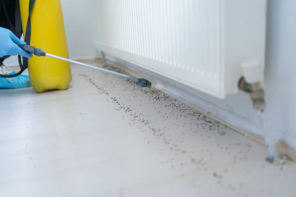 Best Best Pest Control Companies  in Lake Odessa, MI